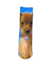 Funny Honden kindersokken - Maat 35-38 - Multicolor - 1 paar