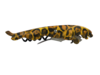 Kurkentrekker En Flessenopener - Luipaard - Bruin / Zwart - Kunststof / Metaal - 14 cm