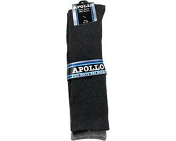 Apollo Skisokken - Donkergrijs / Grijs - Maat 31-34 - 2 paar