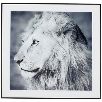 Foto in lijst - Leeuw - Zwart / Wit - Glas / Hout - 50 x 2 x 50 cm