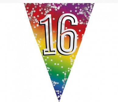 Feest vlaggenlijn ' 16' - 6 meter - 15 vlaggen - Multicolor - Verjaardag - Feest - Feestdagen