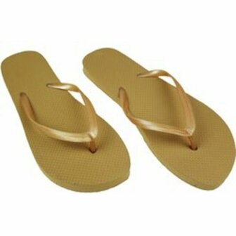 Slippers - Taupe - Maat 36/37 - Teenslippers - Inspired by Havaianas - Lente