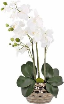 Orchidee CORINA - Zilver - l 10 x b 20 x h 75 cm - Kunstbloem