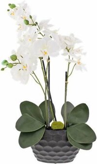 Orchidee CORINA - Zwart - l 10 x b 20 x h 75 cm - Kunstbloem