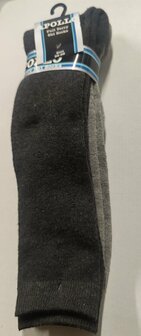 Apollo Skisokken Maat 35 - 38 - Donkergrijs / Grijs - 2 paar