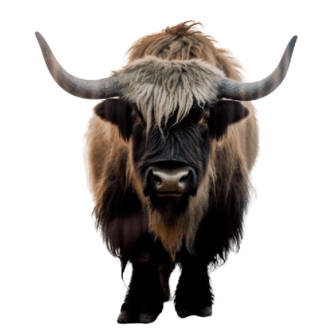  Decoratieve Tuindoek - Yak - Print - Vierkant - 80 x 80 cm