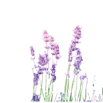 Decoratieve -  Tuindoek - Lavendel - Print - Vierkant - Buiten - 80 x 80 cm
