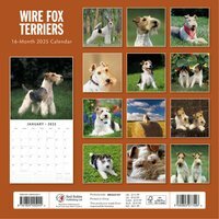 Wire Fox Terriers Kalender 2025  2