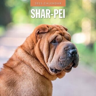 Shar Pei Kalender 2025