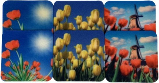 Onderzetters - Tulpen - Vierkant - Multicolor - Anti slip - Kunststof - 9 x 9 cm - Set van 6