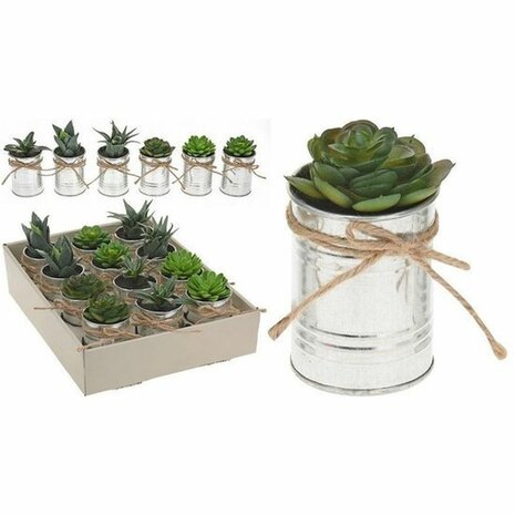 Mini nep vetplantjes in pot - Groen / Zilver - Kunststof / Metaal - Assorti - Set van 2 - Vetplant - Plant - Nepplant - Accesso