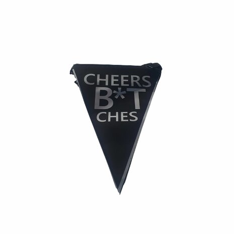 Feest vlaggenlijn &#039; CHEERS B*T CHES &#039; - Zwart / Silver - 6 meter - 15 vlaggen - Glitter