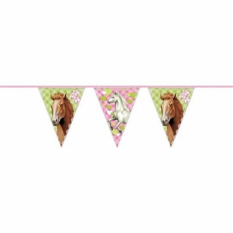 Slinger Paarden - Multicolor - 10 Meter - Feest - Slinger - Ophangen - Jarig - Meisjes - Roze - Groen - Wit - Decoratie