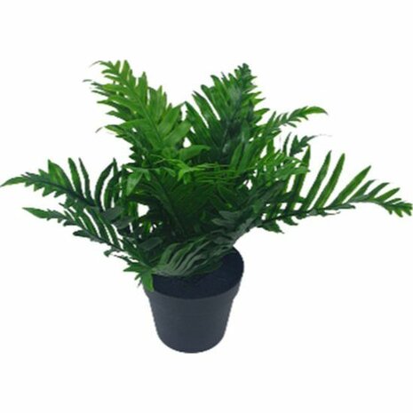 Varen plant kunstplant in pot - Groen / Zwart - Kunststof - Ca. 10 x 10 x 20 cm - Kunstplant - Plant - Varen - Interieur - Deco