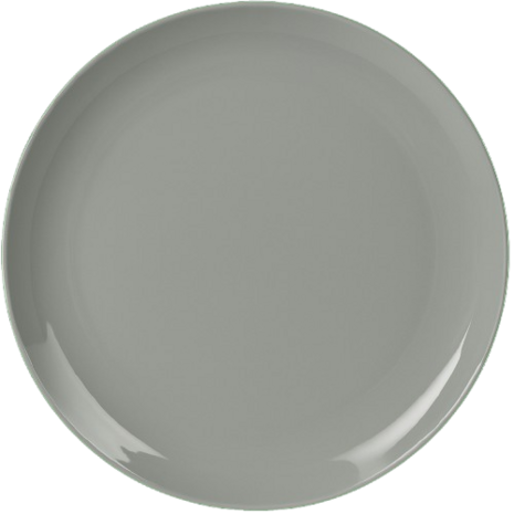 Herbruikbare Diner borden BACO - Grijs- Kunststof - &Oslash; 25 cm - Vaatwasserbestendig  - Set van 4 - Ideaal als picknickbord