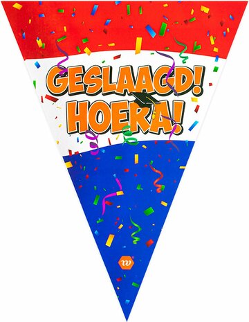 Vlaggenlijn &#039;&#039;Geslaagd Hoera!&#039;&#039; - Slinger - 4 meter3