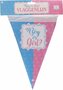 Boy Or Girl Vlaggenlijn - Blauw / Roze - Gender Reveal Party - Kunststof - Geboorte - 4 Meter