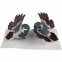 Decoratie vogeltjes op knijper grijze versie - Grijs / Zwart - Kunststof / Metaal - 7 cm - Set van 2 - Decoratie - DIY - Knutse