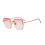 Zonnebril JETSET DUBAI - UV 400 - Roze / Transparant - Glazen vierkante bril - Normaal Model - Shades - Unisex Heren  - Gradien