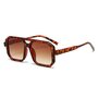  Zonnebril FESTIVAL  - UV 400 - Panter print / bruin / gemengd - Glazen vierkante bril - Normaal Model - Shades - Vrouwen - Gra