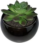 Kunstvetplantje potje - Zwart/Groen - h 8 cm