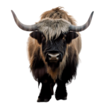  Decoratieve Tuindoek - Yak - Print - Vierkant - 80 x 80 cm