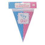 Boy Or Girl Vlaggenlijn - Roze / Blauw - Gender Reveal Party - Kunststof - Geboorte - 4 Meter