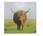 Canvas Stier - Multicolor - 45 x 45 cm
