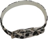 Honden / Katten halsband - Belletje - Panterprint - Verstelbaar - Hond - Kat Honden / Katten halsband - Belletje - Panterprint - Verstelbaar - Hond - Kat
