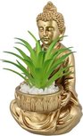 Boeddha met vetplantje - Goud - Boeddha - Kunstplanten - 9.5 x 9.5 x 13 cm Boeddha met vetplantje - Goud - Boeddha - Kunstplanten - 9.5 x 9.5 x 13 cm