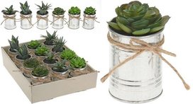 Mini nep vetplantjes in pot - Groen / Zilver - Kunststof / Metaal - Assorti - Set van 2 - Vetplant - Plant - Nepplant - Accessoires - Interieur Mini nep vetplantjes in pot - Groen / Zilver - Kunststof / Metaal - Assorti - Set van 2 - Vetplant - Plant - Nepplant - Accessoires - Interieur