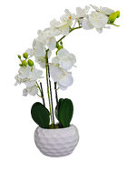 Orchidee CORINA - Wit - l 10 x b 20 x h 75 cm - Kunstbloem