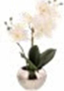 Orchidee in pot - Zilver / Wit / Groen - Kunststof / Aardewerk - l 30 cm - Small - Interieur - Decoratie - Nepplant - Kunstplant - Huisplant - Planten