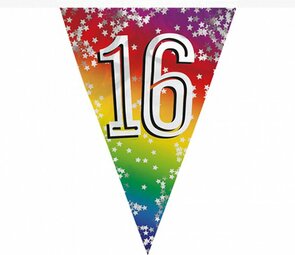 Feest vlaggenlijn '16 ' - 6 meter - 15 vlaggen