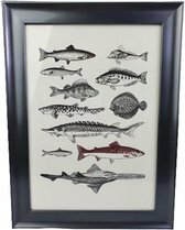  Fotolijst SILVANA - Glimmend zwart - Kunststof - 34 x 25,5 cm  