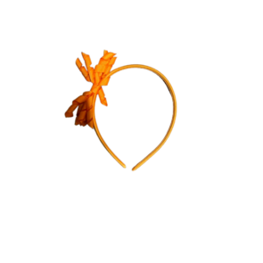 Ek/Wk Diadeem - Oranje - Nederland - Holland - EK / WK - Voor Meisje