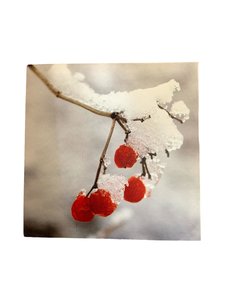 Kerst schilderij - Besjes - 28 x 28 cm