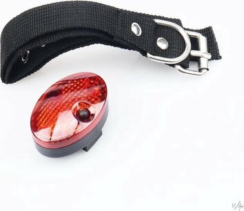 Honden riem met lampje