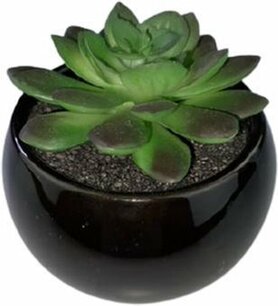 Kunstvetplantje potje - Zwart/Groen - h 8 cm