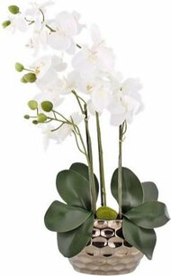 Orchidee CORINA - Zilver - l 10 x b 20 x h 75 cm - Kunstbloem Orchidee CORINA - Zilver - l 10 x b 20 x h 75 cm - Kunstbloem