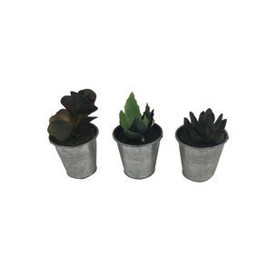 Mini nep vetplantjes in tinnen potje - Groen / Zilver - Kunststof / Metaal - Set van 3 - Assorti - Vetplant - Plant - Nepplant - Aloe Vera - Nepplanten - aa Mini nep vetplantjes in tinnen potje - Groen / Zilver - Kunststof / Metaal - Set van 3 - Assorti - Vetplant - Plant - Nepplant - Aloe Vera - Nepplanten - aa