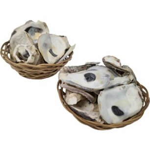 Decoratie schelpen - Deco schelp - Knutsel schelpen - In houten bakje - Set van 2