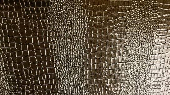 Luxury Placemat Krokodil - Goud - PVC - 30 x 45 - Set van 2