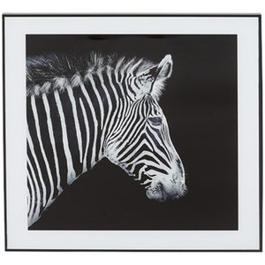 Foto Lijst Zebra Zwart / Wit - Glas / Kunststof - 50 x - Red Hart | All You Need Is Low Prices