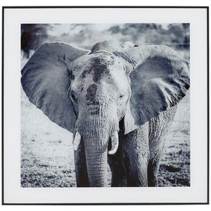 Foto in lijst - Olifant - Zwart / Wit Glas / Hout - 50 x 2 x 50 cm - Red Hart | All You Need Is Low Prices