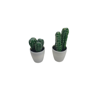 Mini Cactus -  Set van 2 - Wit / Groen - Kunststof / Keramiek - Plantjes - Decoratie 