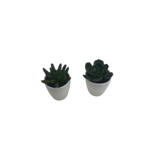 Vetplantjes - Set van 2 - Wit / Groen - Kunststof / Keramiek - Plantjes - Decoratie - Mini Plantjes