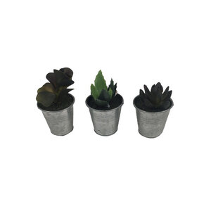 Mini nep vetplantjes in tinnen potje - Groen / Zilver - Kunststof / Metaal - Set van 3 - Assorti - Vetplant - Plant - Nepplant 