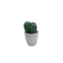 Mini Cactus -  Set van 2 - Wit / Groen - Kunststof / Keramiek - Plantjes - Decoratie _