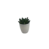 Vetplantjes - Set van 2 - Wit / Groen - Kunststof / Keramiek - Plantjes - Decoratie - Mini Plantjes_